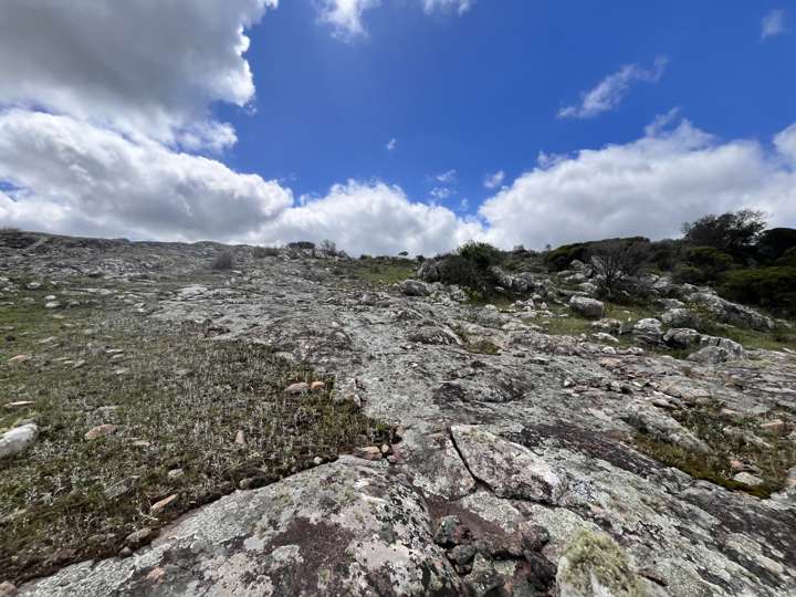 Granja en venta en Rambla General Artigas, Punta Del Este