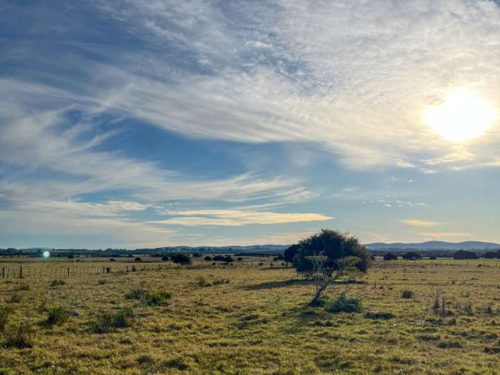 Granja en venta en Rambla General Artigas, Punta Del Este