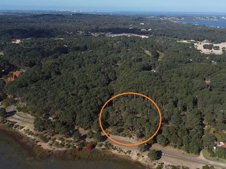 Terreno en venta en Maldonado