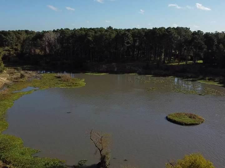 Terreno en venta en Maldonado