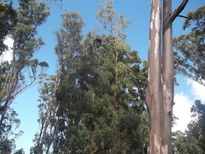 Terreno en venta en Maldonado