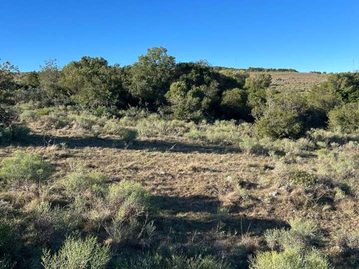 Granja en venta en Maldonado