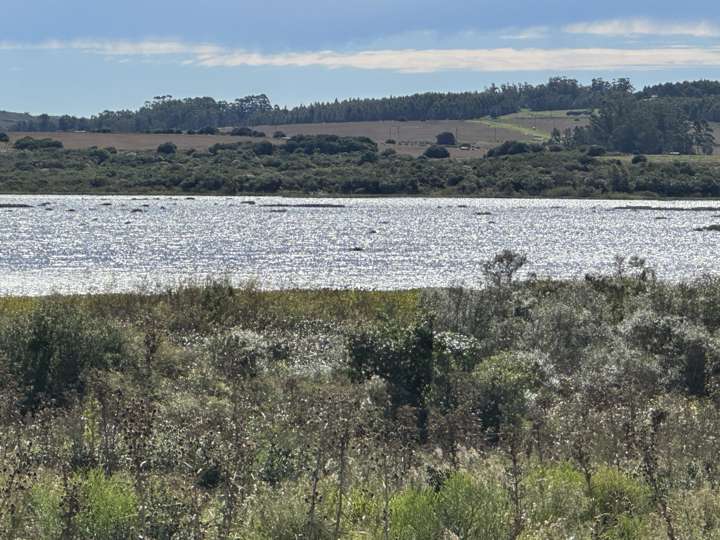 Granja en venta en Las Calandrias, Maldonado
