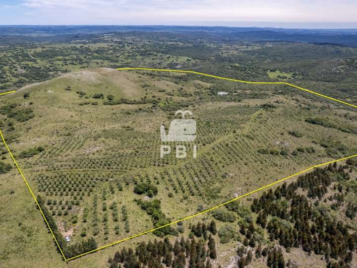 Granja en venta en Maldonado