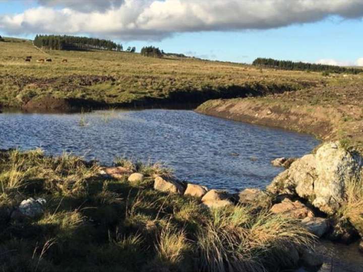 Granja en venta en Maldonado