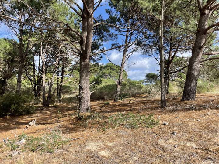 Terreno en venta en Paralela Norte a Avenida Las Mercedes, Maldonado