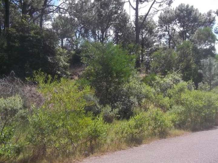 Terreno en venta en Laguna del Sauce, Maldonado