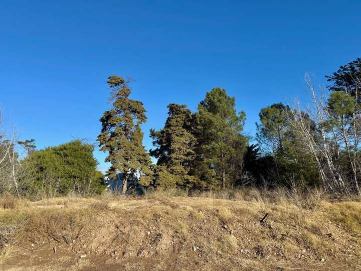 Terreno en venta en Partido de Monte Hermoso, Buenos Aires