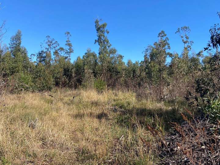 Terreno en venta en Acesso a Ruta 9 Alternativa, Rocha