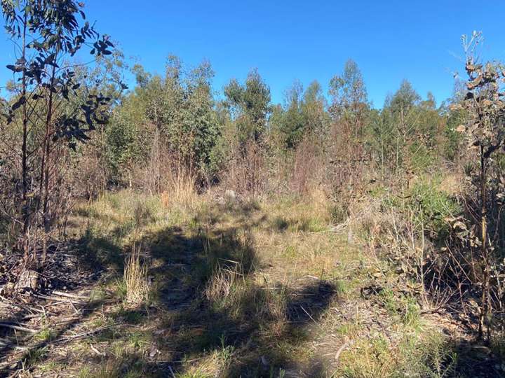 Terreno en venta en Acesso a Ruta 9 Alternativa, Rocha