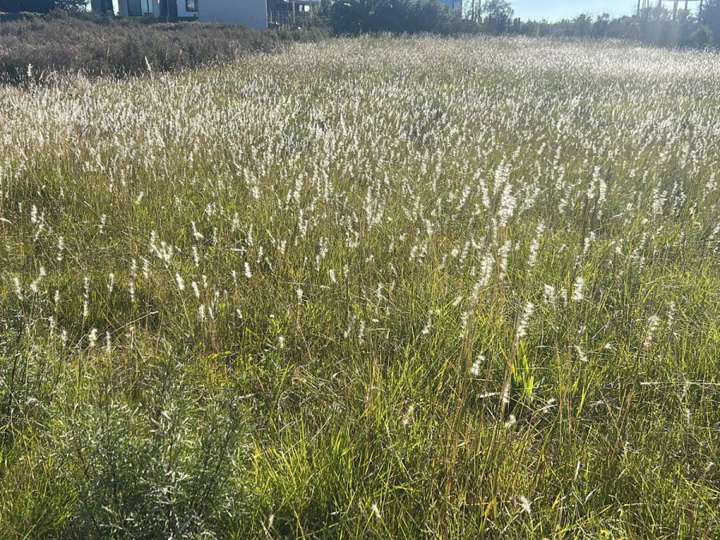 Terreno en venta en Real de San Carlos, Colonia