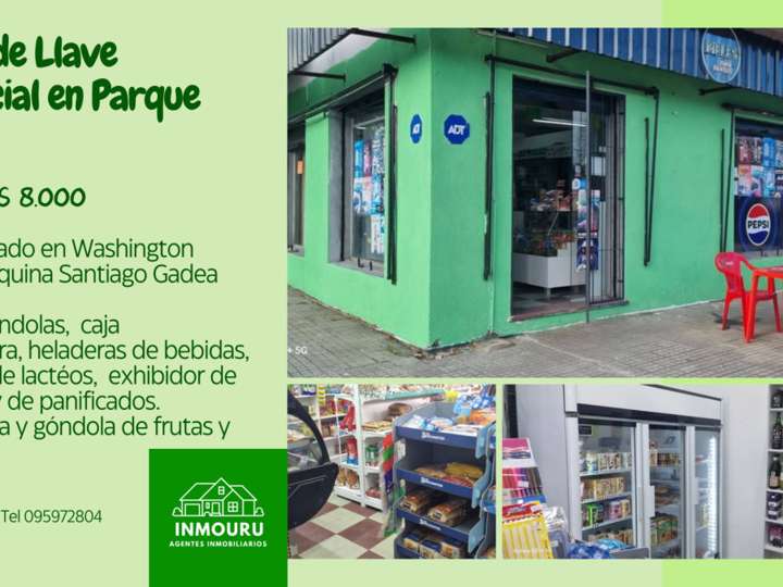 Comercial / Tienda en venta en Washington Beltrán, Montevideo