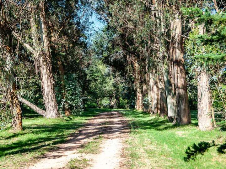 Granja en venta en Rufino María García, El Tesoro