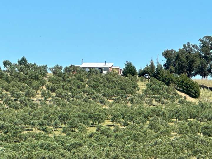 Granja en venta en Lavalleja