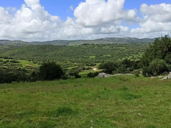 Granja en venta en Rambla General Artigas, Punta Del Este