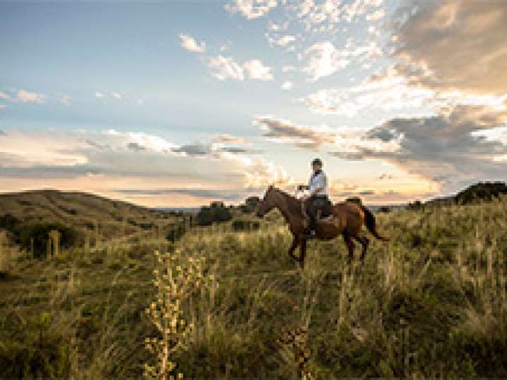 Granja en venta en Mariscala