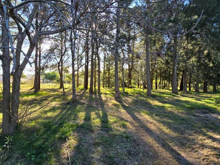 Terreno en venta en Avenida Central, Maldonado