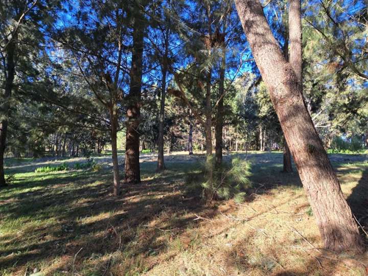 Terreno en venta en Avenida Central, Maldonado