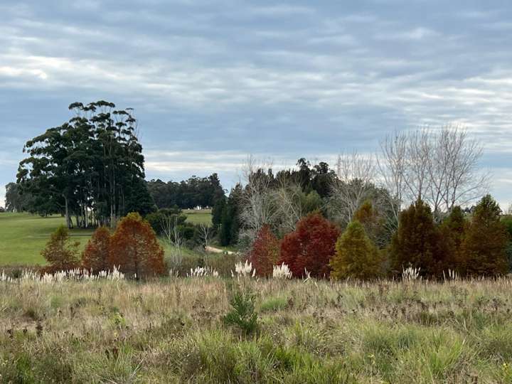 Granja en venta en Maldonado