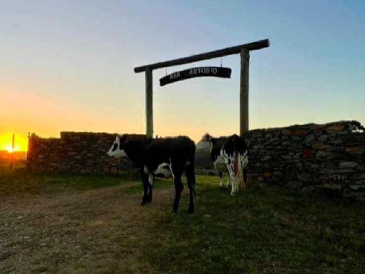 Granja en venta en Rambla General Artigas, Punta Del Este