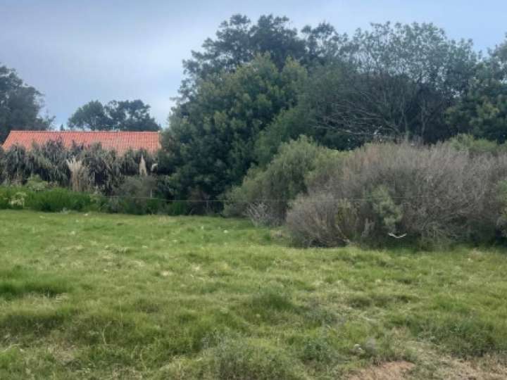 Terreno en venta en Maldonado
