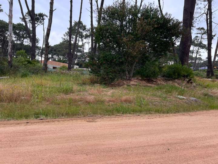 Terreno en venta en Maldonado