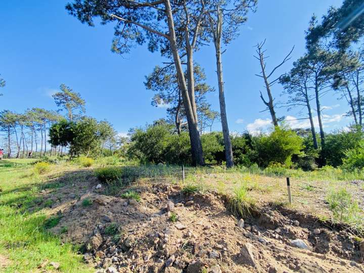 Terreno en venta en Maldonado