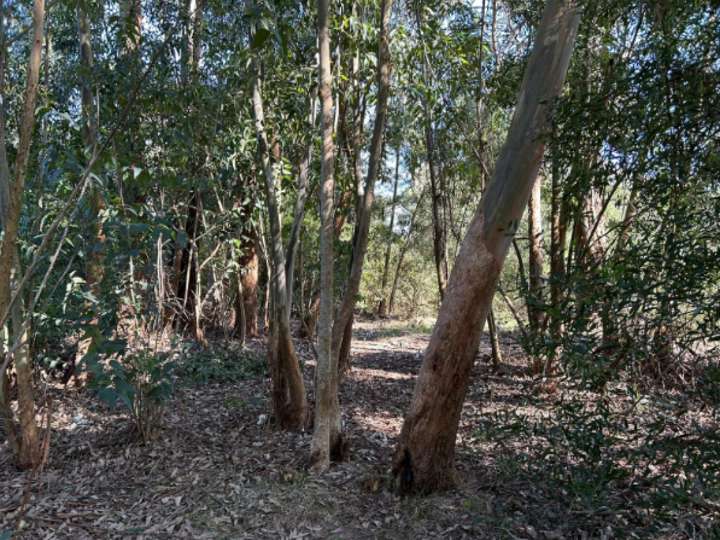 Terreno en venta en Maldonado