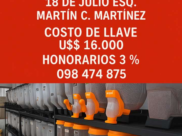 Comercial / Tienda en venta en Doctor Martín C. Martínez, Montevideo