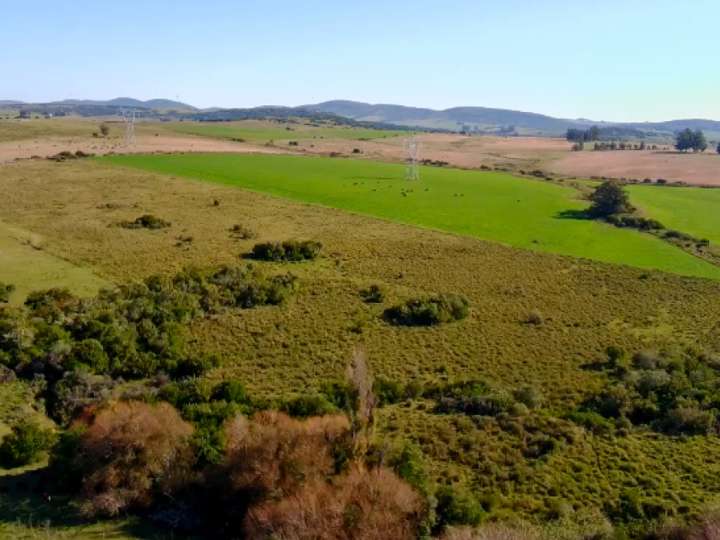Granja en venta en Rambla General Artigas, Punta Del Este