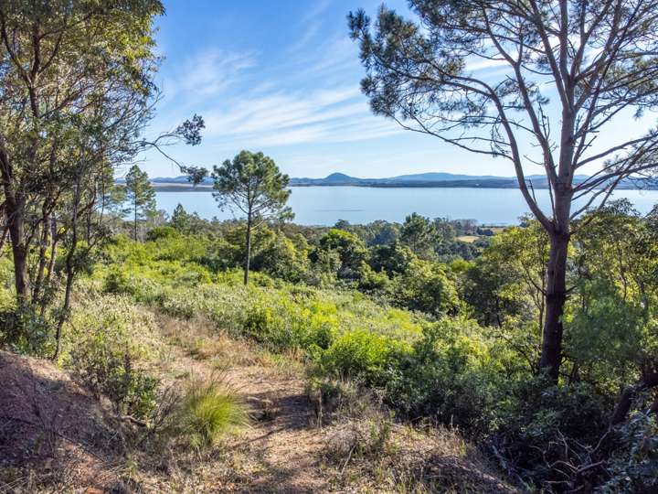 Terreno en venta en Camino de los Pájaros, Maldonado