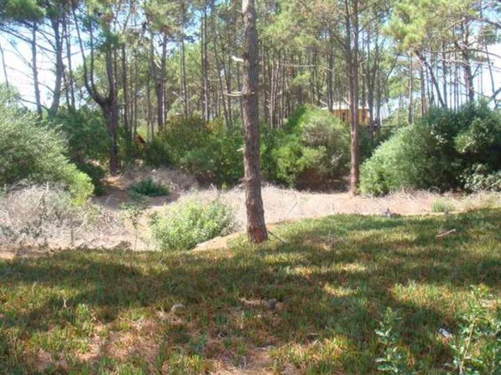 Terreno en venta en Avenida La Mayor, Maldonado