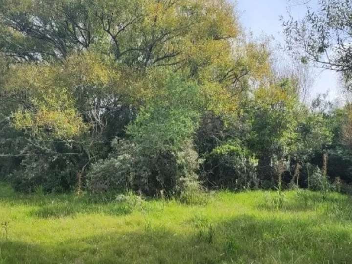 Granja en venta en Maldonado