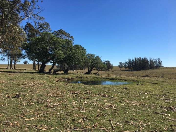 Granja en venta en Maldonado