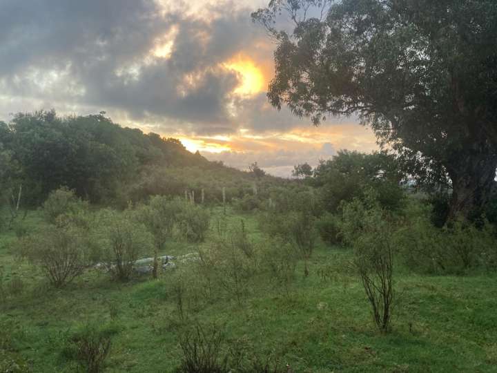 Granja en venta en Rocha