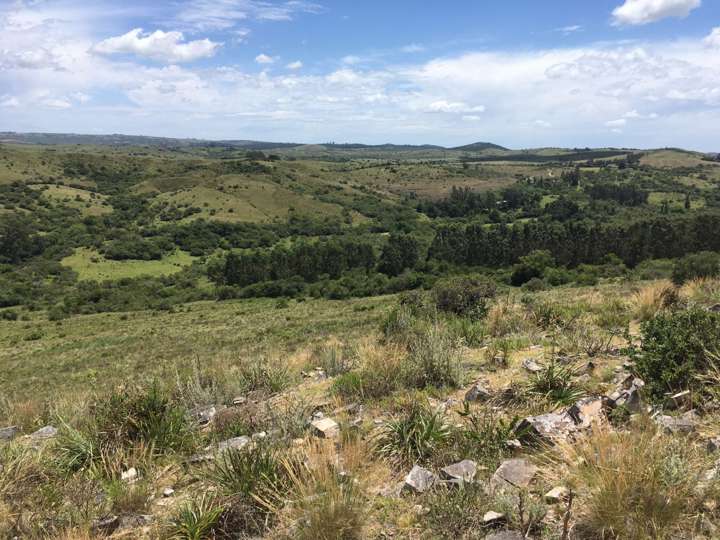 Granja en venta en Maldonado