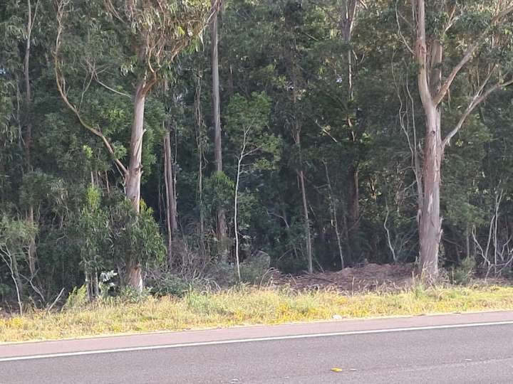 Granja en venta en Rambla General Artigas, Punta Del Este