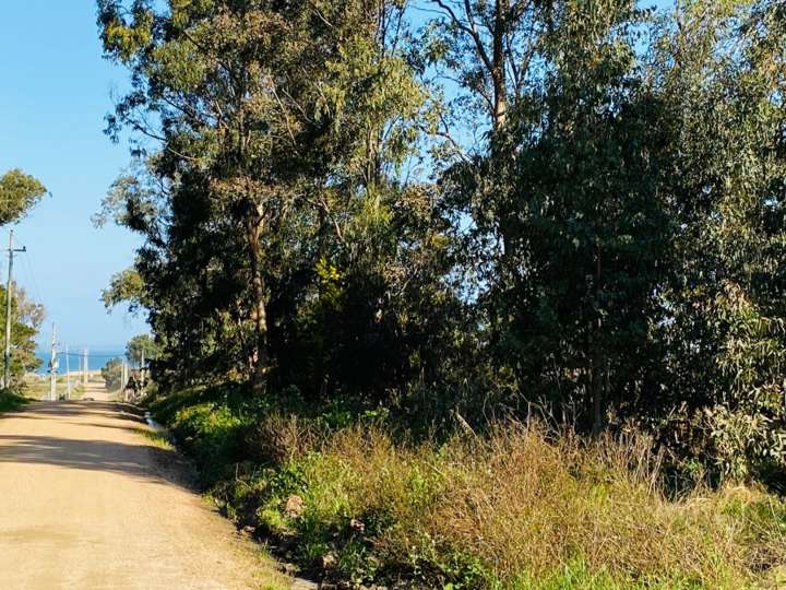 Terreno en venta en Calle 47 - El Rapacejo, Buenos Aires