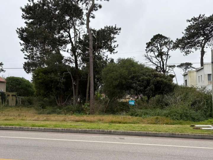 Terreno en venta en Avenida Córdoba, Punta Del Este