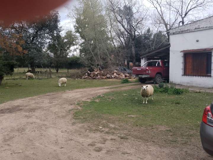 Terreno en venta en Camino provincial secundario 046-02, General Rodríguez