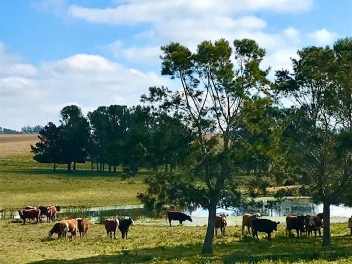Granja en venta en Camino Medellín, Maldonado