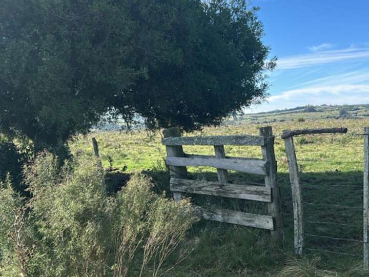 Granja en venta en Rambla General Artigas, Punta Del Este