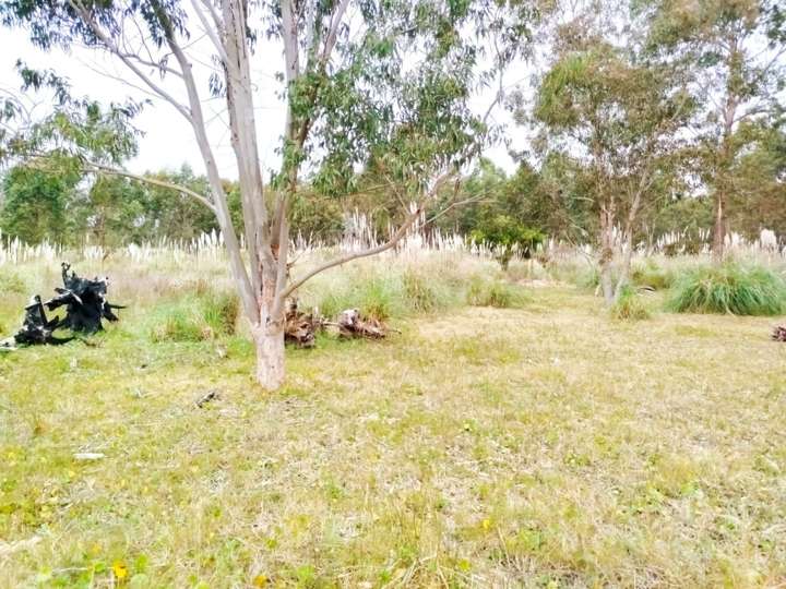 Terreno en venta en Cabo de Amarre, Rocha