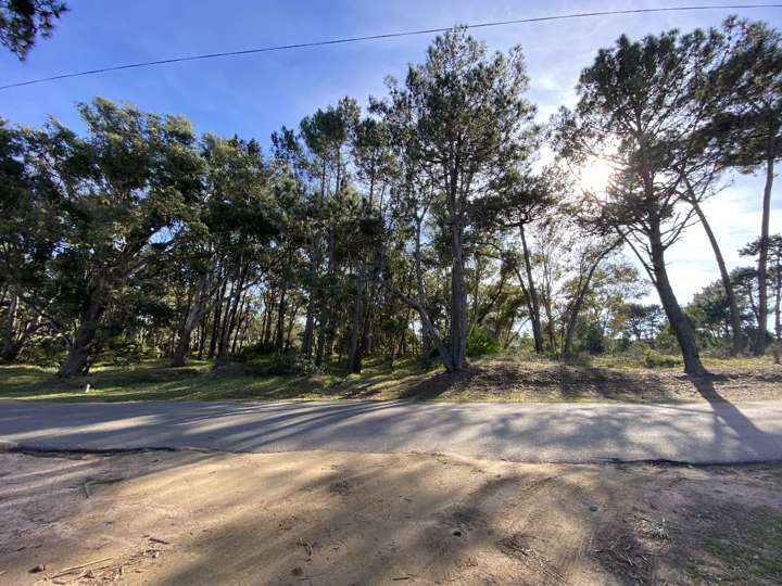 Terreno en venta en Pedro Campbell, Maldonado