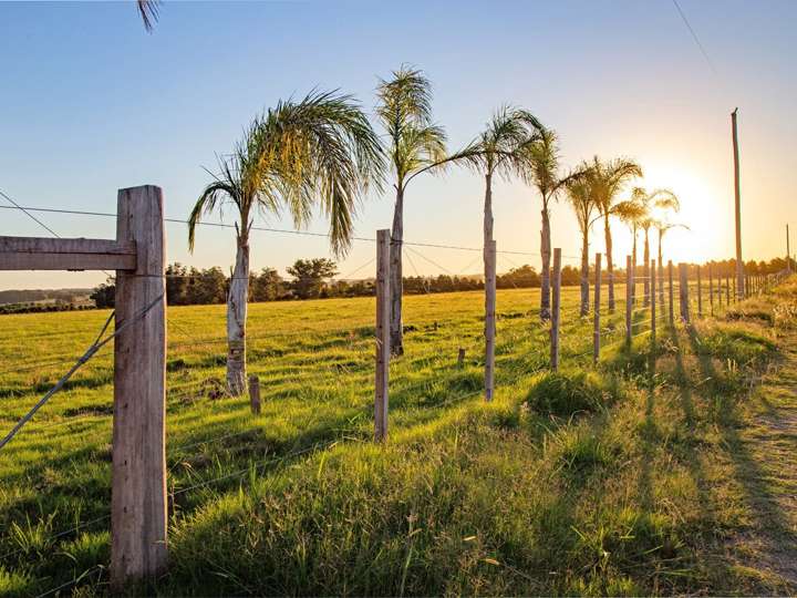 Granja en venta en Maldonado