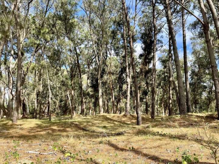 Terreno en venta en Maldonado