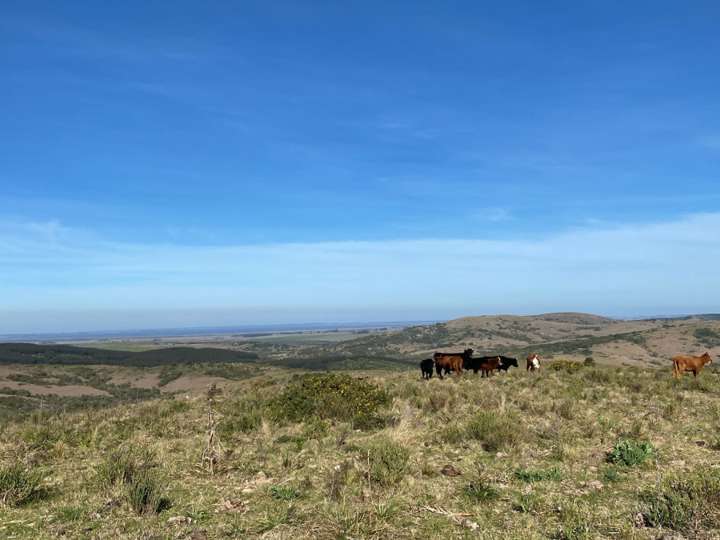 Granja en venta en Castillos