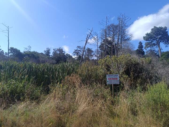 Terreno en venta en Bariloche, Maldonado