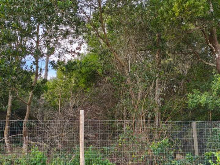 Terreno en venta en Santa Bárbara, Maldonado