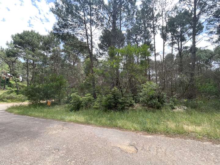 Terreno en venta en Laguna del Sauce, Maldonado